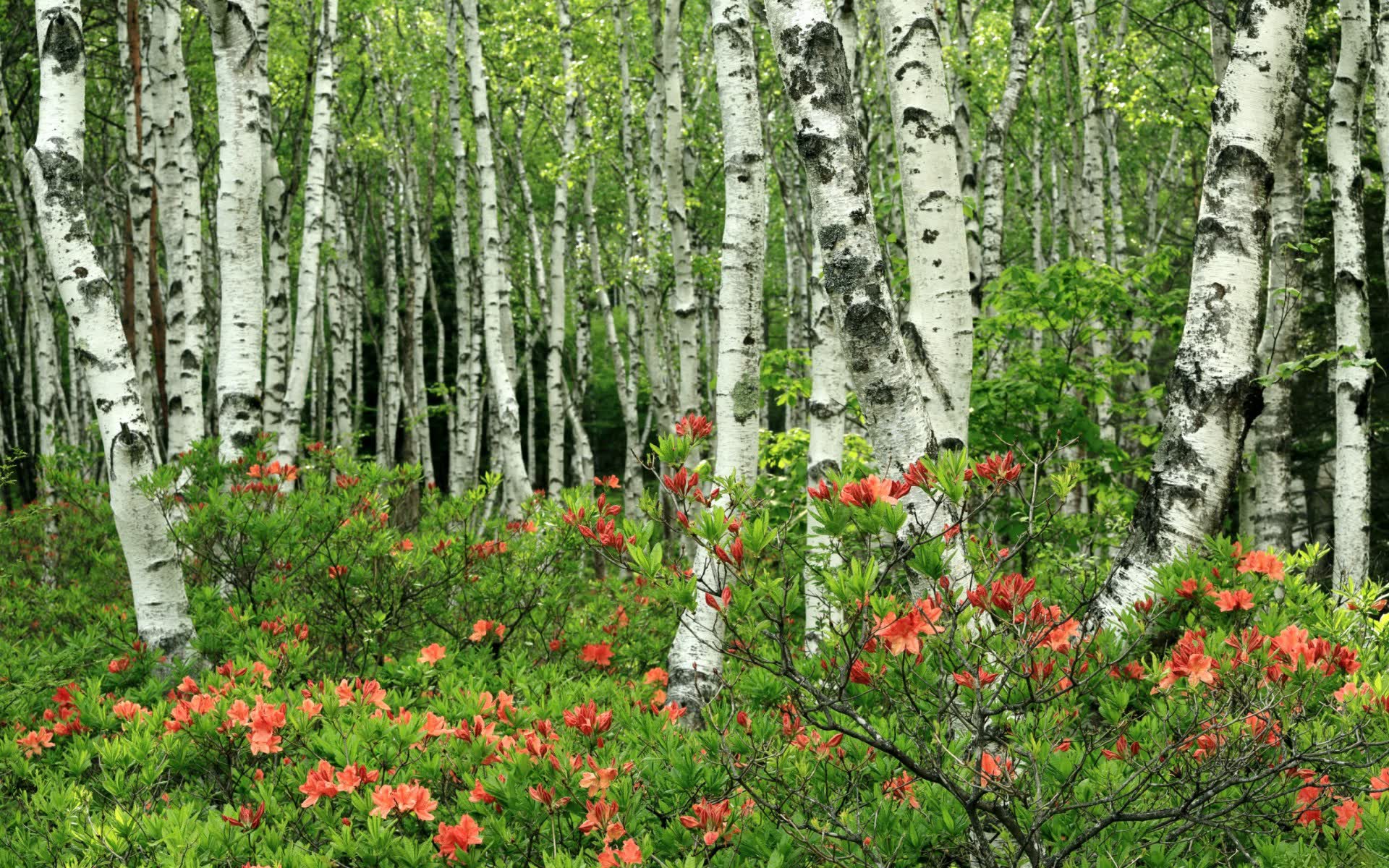 世界体能恢复智能监测设备通过认证测试，体能监测系统